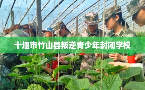 十堰市竹山县叛逆青少年封闭学校 十堰市竹山县叛逆青少年封闭学校