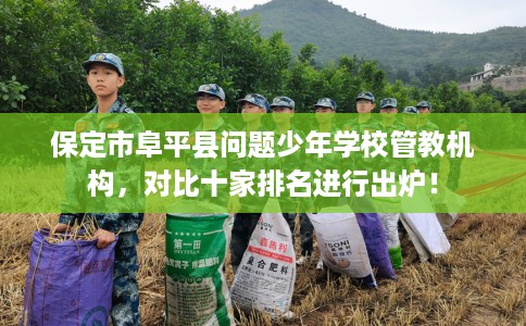 保定市阜平县问题少年学校管教机构，对比十家排名进行出炉！