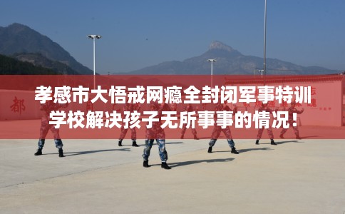 孝感市大悟戒网瘾全封闭军事特训学校解决孩子无所事事的情况！