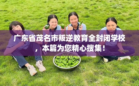 广东省茂名市叛逆教育全封闭学校，本篇为您精心搜集！