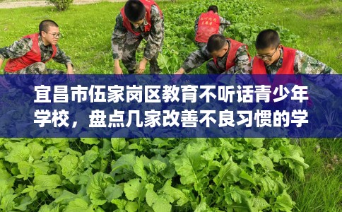 宜昌市伍家岗区教育不听话青少年学校，盘点几家改善不良习惯的学校！