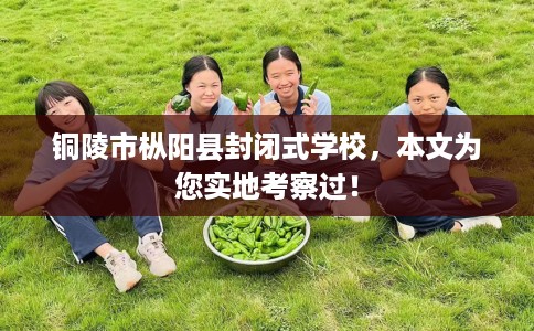 铜陵市枞阳县封闭式学校，本文为您实地考察过！