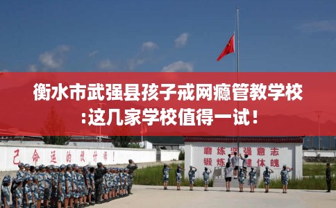 衡水市武强县孩子戒网瘾管教学校:这几家学校值得一试！