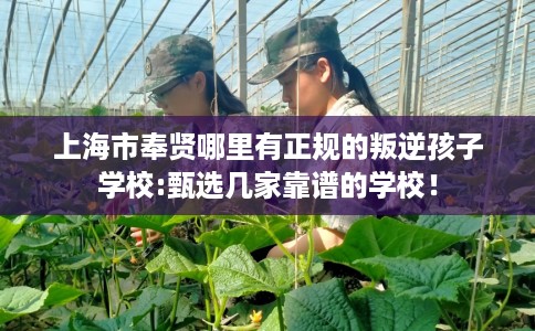 上海市奉贤哪里有正规的叛逆孩子学校:甄选几家靠谱的学校！