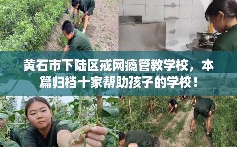 黄石市下陆区戒网瘾管教学校，本篇归档十家帮助孩子的学校！
