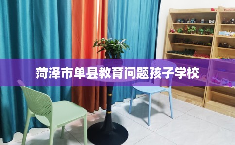 菏泽市单县教育问题孩子学校 菏泽市单县教育问题孩子学校