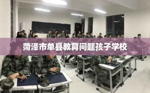 菏泽市单县教育问题孩子学校