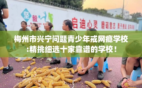 梅州市兴宁问题青少年戒网瘾学校:精挑细选十家靠谱的学校！