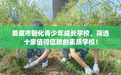 娄底市新化青少年成长学校，筛选十家值得信赖的素质学校！