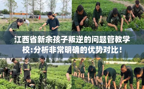 江西省新余孩子叛逆的问题管教学校:分析非常明确的优势对比！