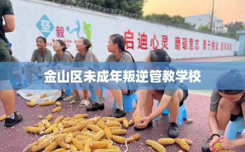 金山区未成年叛逆管教学校