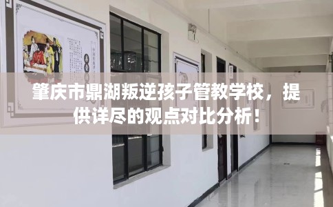 肇庆市鼎湖叛逆孩子管教学校，提供详尽的观点对比分析！