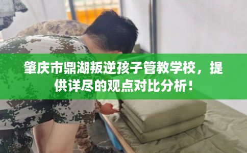 肇庆市鼎湖叛逆孩子管教学校，提供详尽的观点对比分析！