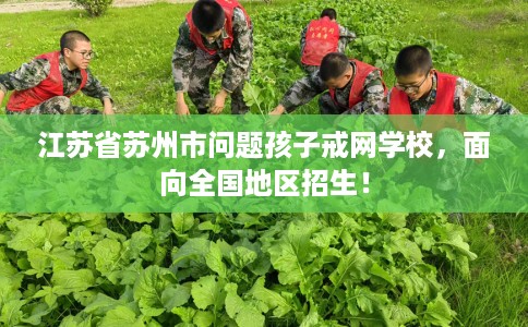 江苏省苏州市问题孩子戒网学校,面向全国地区招生! 江苏省苏州市问题孩子戒网学校,面向全国地区招生!