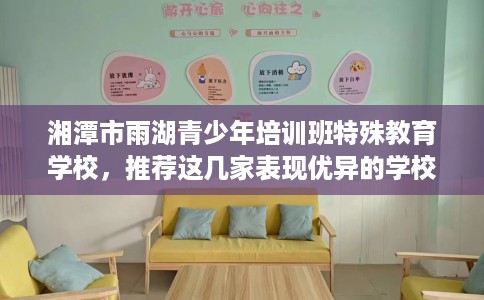 湘潭市雨湖青少年培训班特殊教育学校，推荐这几家表现优异的学校！