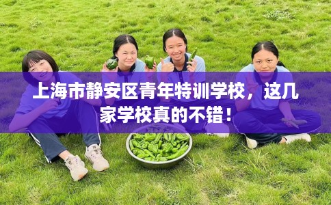 上海市静安区青年特训学校，这几家学校真的不错！