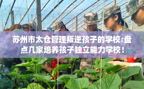 苏州市太仓管理叛逆孩子的学校:盘点几家培养孩子独立能力学校！