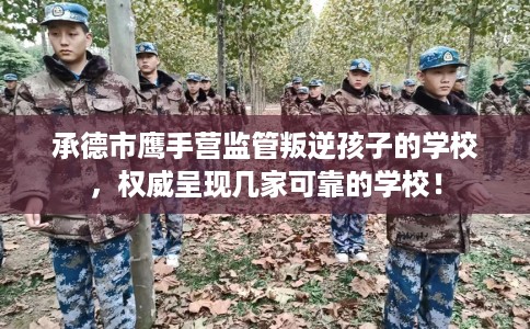 承德市鹰手营监管叛逆孩子的学校,权威呈现几家可靠的学校! 承德市鹰手营监管叛逆孩子的学校,权威呈现几家可靠的学校!