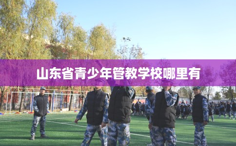 山东省青少年管教学校哪里有 山东省青少年管教学校哪里有