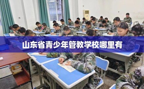 山东省青少年管教学校哪里有 山东省青少年管教学校哪里有