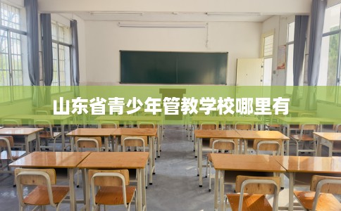 山东省青少年管教学校哪里有