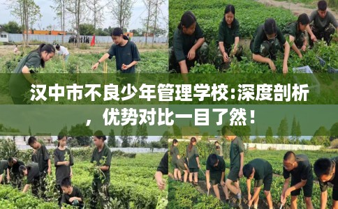 汉中市不良少年管理学校:深度剖析,优势对比一目了然! 汉中市不良少年管理学校:深度剖析,优势对比一目了然!