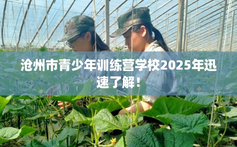 沧州市青少年训练营学校2025年迅速了解！