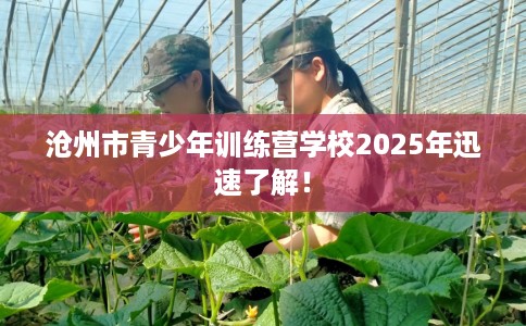 沧州市青少年训练营学校2025年迅速了解！