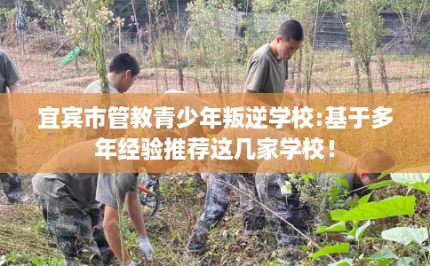 宜宾市管教青少年叛逆学校:基于多年经验推荐这几家学校！