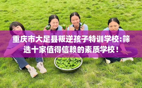 重庆市大足县叛逆孩子特训学校:筛选十家值得信赖的素质学校！