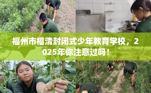 福州市福清封闭式少年教育学校,2025年你注意过吗! 福州市福清封闭式少年教育学校,2025年你注意过吗!