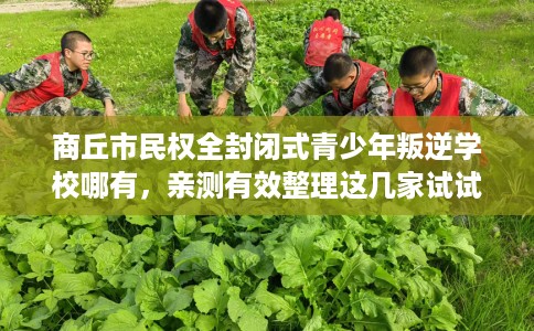 商丘市民权全封闭式青少年叛逆学校哪有，亲测有效整理这几家试试
