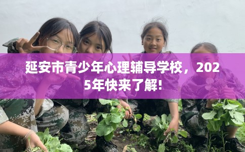 延安市青少年心理辅导学校,2025年快来了解! 延安市青少年心理辅导学校,2025年快来了解!