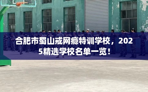 合肥市蜀山戒网瘾特训学校，2025精选学校名单一览！