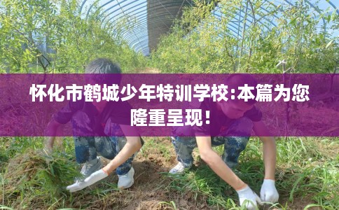 怀化市鹤城少年特训学校:本篇为您隆重呈现！