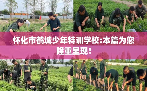 怀化市鹤城少年特训学校:本篇为您隆重呈现！