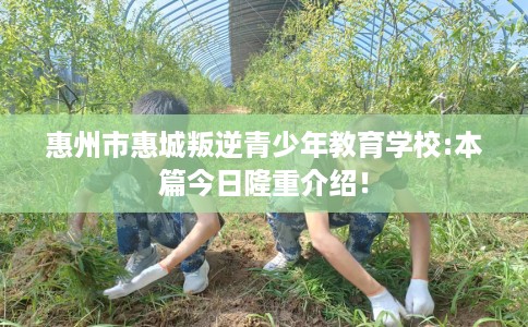 惠州市惠城叛逆青少年教育学校:本篇今日隆重介绍! 惠州市惠城叛逆青少年教育学校:本篇今日隆重介绍!