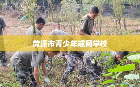 菏泽市青少年戒网学校