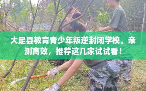 大足县教育青少年叛逆封闭学校，亲测高效，推荐这几家试试看！