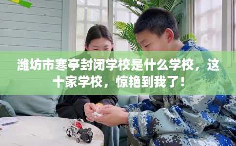 潍坊市寒亭封闭学校是什么学校，这十家学校，惊艳到我了！