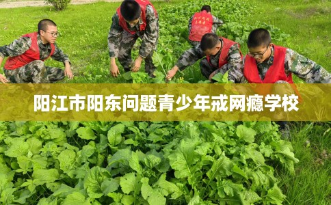阳江市阳东问题青少年戒网瘾学校