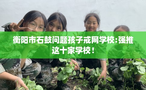 衡阳市石鼓问题孩子戒网学校:强推这十家学校！