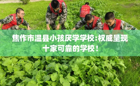 焦作市温县小孩厌学学校:权威呈现十家可靠的学校! 焦作市温县小孩厌学学校:权威呈现十家可靠的学校!