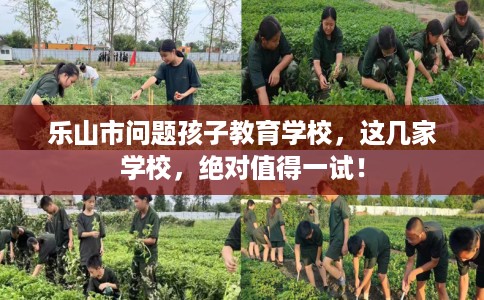 乐山市问题孩子教育学校，这几家学校，绝对值得一试！