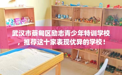 武汉市蔡甸区励志青少年特训学校，推荐这十家表现优异的学校！