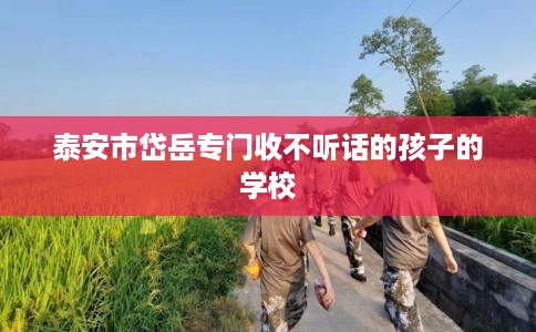 泰安市岱岳专门收不听话的孩子的学校 泰安市岱岳专门收不听话的孩子的学校