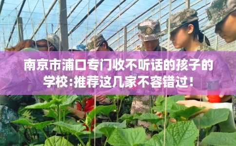 南京市浦口专门收不听话的孩子的学校:推荐这几家不容错过！