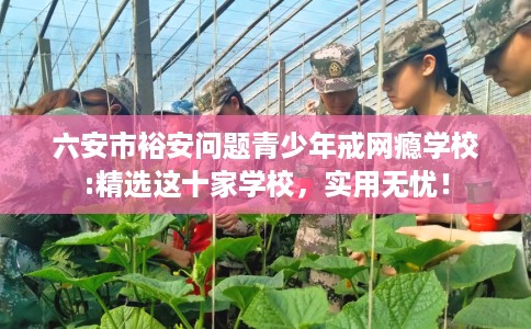 六安市裕安问题青少年戒网瘾学校:精选这十家学校，实用无忧！