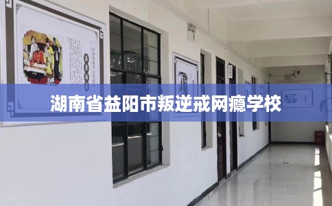 湖南省益阳市叛逆戒网瘾学校