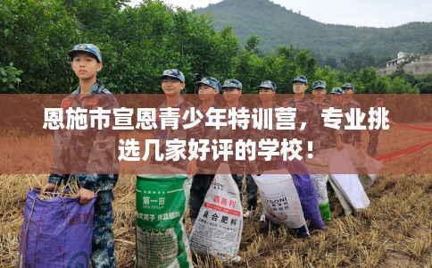 恩施市宣恩青少年特训营，专业挑选几家好评的学校！